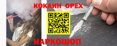 гидра Будённовск