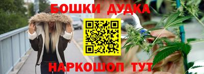 гидра Будённовск