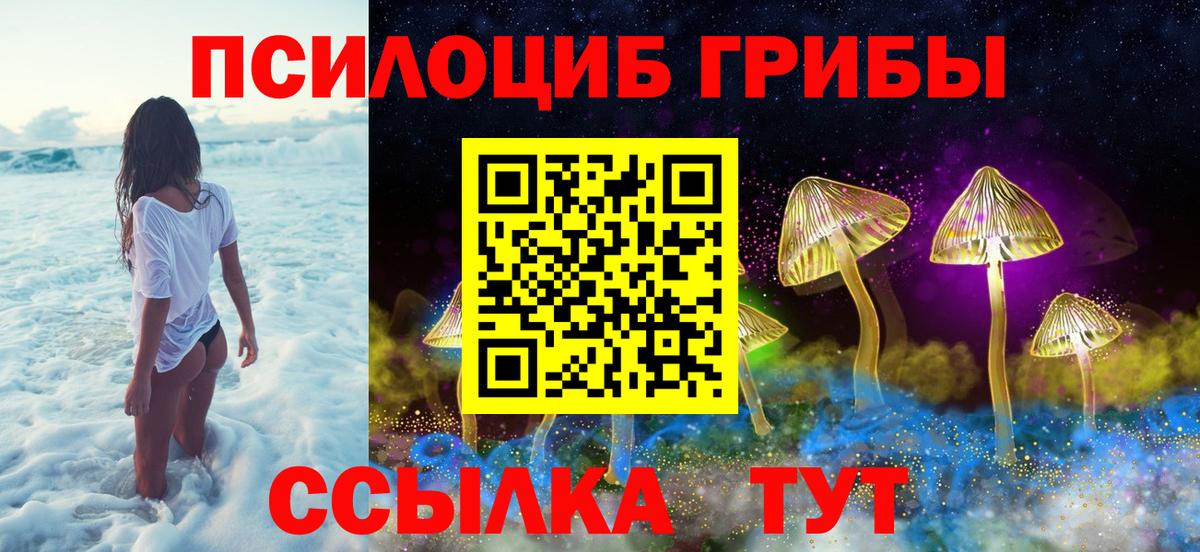 Псилоцибиновые грибы MAGIC MUSHROOMS  продажа наркотиков  Искитим  Вход с VPN 